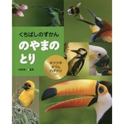 ヨドバシ Com くちばしのずかん のやまのとり キツツキ オウム ハチドリほか 全集叢書 通販 全品無料配達