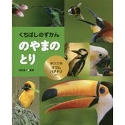 くちばしのずかん のやまのとり―キツツキ・オウム・ハチドリほか [全集叢書]