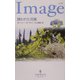 誘われた花嫁―魅惑の兄弟〈1〉(ハーレクイン・イマージュ) [新書]