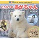 どうぶつのあかちゃん(350シリーズはじめてのいきものえほん〈6〉) [図鑑]