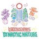 NETWORKS／Dynamic Nature