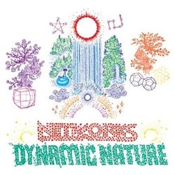 NETWORKS／Dynamic Nature