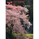 ニューひょうご ごこく 2015年 03月号 [雑誌]