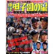 輝け甲子園の星 2015年 05月号 [雑誌]