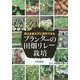 プランターの田畑リレー栽培―用土を変えずに連作できる [単行本]