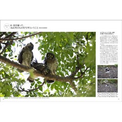 ヨドバシ.com - 野鳥撮影のバイブル [ムックその他] 通販【全品無料配達】