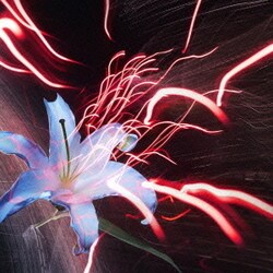 NORE／紡ぐ手、伸ばした手