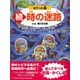 続・時の迷路―明治、大正、昭和、そして未来へ ポケット版 [絵本]