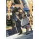 二度目の人生を異世界で〈3〉(HJ NOVELS) [単行本]