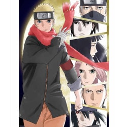 ヨドバシ Com The Last Naruto The Movie Dvd 通販 全品無料配達