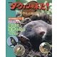 NHKダーウィンが来た!生きもの新伝説 おどろき写真ストーリー〈5〉ふしぎ!身近な生きもののくらし [単行本]