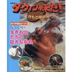 NHKダーウィンが来た!生きもの新伝説 おどろき写真ストーリー〈6〉びっくり!生きものたちの巨大なむれ [単行本]