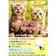 猫の占い今日の幸せを引き寄せる本。