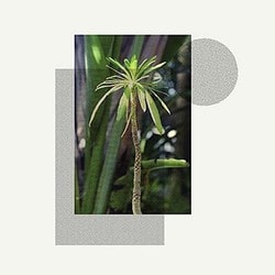 Stefan Jos／Primitives