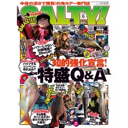 salty ! (ソルティ) 2015年 06月号 [雑誌]