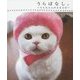 うらばなし。―うらちゃんの365日(リンダパブリッシャーズの本) [単行本]