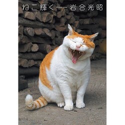 ねこ輝く-ニッポンの猫写真集 [単行本]