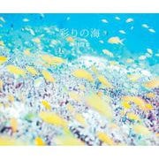 彩りの海 [単行本]