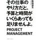 その仕事のやり方だと、予算と時間がいくらあっても足りませんよ [単行本]