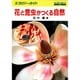 花と昆虫がつくる自然(エコロジーガイド) [図鑑]