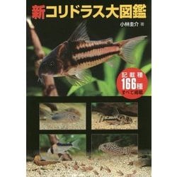 新コリドラス大図鑑 新コリドラス大図鑑 (アクアライフの本) | 小林圭介 |本 | 通販
