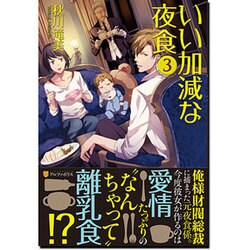 いい加減な夜食〈3〉(アルファポリス文庫) [文庫]