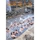 温泉達人会〈Volume03(2009)〉 [単行本]