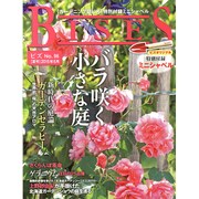 BISES (ビズ) 2015年 06月号 [雑誌]