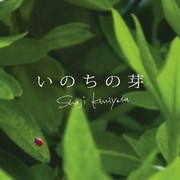 いのちの芽