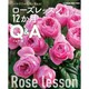 バラづくりの疑問に答える！ ローズレッスン12か月 Q＆A [ムックその他]