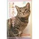 きみの声を聞かせて―猫たちのものがたり-まぐ・ミクロ・まる-(小学館ジュニア文庫) [新書]