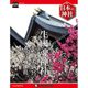 週刊日本の神社 2015年 6/2号 68 [雑誌]
