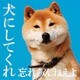 忘れらんねえよ／犬にしてくれ