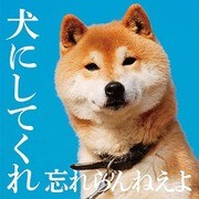 犬にしてくれ