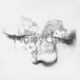 NoisyCell／sources