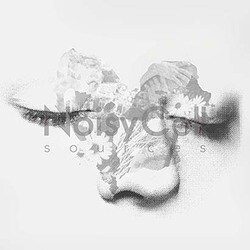 NoisyCell／sources