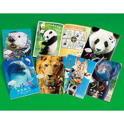 飼育員さんに聞こう!どうぶつのひみつ(全6巻) [絵本]