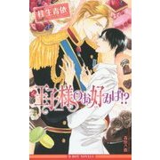 王子様のお好みは!?(ビーボーイノベルズ) [新書]