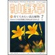 趣味の山野草 2015年 07月号 [雑誌]
