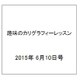 趣味のカリグラフィーレッスン 2015年 6/10号（124） [雑誌]