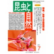 昆虫と自然 2015年 07月号 [雑誌]