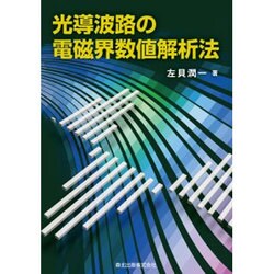 光導波路の電磁界数値解析法 [単行本]