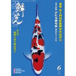 鱗光 2015年6月号 [単行本]