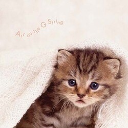 まるごと!G線上のアリア