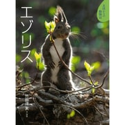 エゾリス(北国からの動物記〈8〉) [絵本]