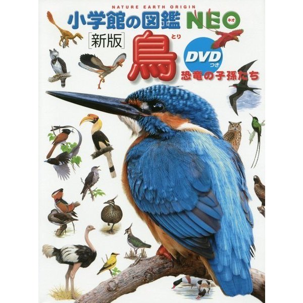 鳥―恐竜の子孫たち DVDつき 新版 (小学館の図鑑NEO) [図鑑]