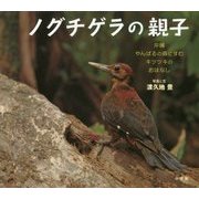 ノグチゲラの親子―沖縄やんばるの森にすむキツツキのおはなし(小学館の図鑑NEOの科学絵本) [絵本]