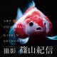 アートアクアリウム×篠山紀信カレンダー 2016 [カレンダー]