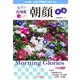 色分け花図鑑 朝顔 [図鑑]
