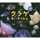 クラゲすいぞくかん―クラゲかんちょーのクラゲじまん(ほるぷ水族館えほん) [絵本]